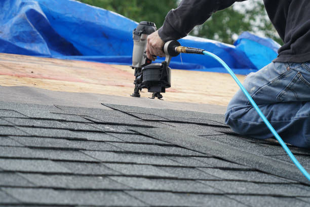 Best Commercial Roofing Services  in Muscle Shos, AL