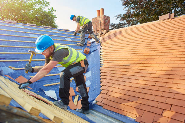 Best Gutter Installation and Repair  in Muscle Shos, AL